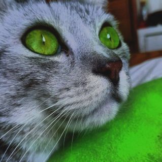 "Неоновый взгляд"