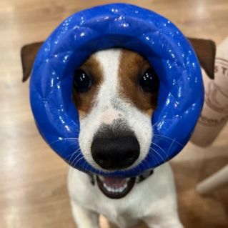 "Давай ,поиграем?"