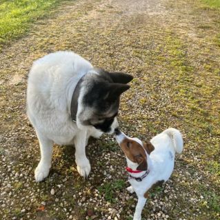 "Друг моего друга. Встреча."