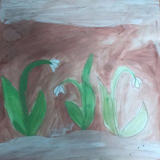 Нежные подснежники