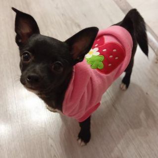 "Моя маленькая подружка  Ася"