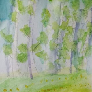 "Березовая роща"