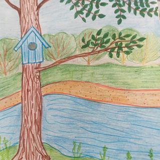 Поможем птицам