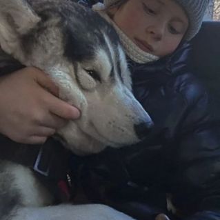 "Собаки - мой любимый вид людей"