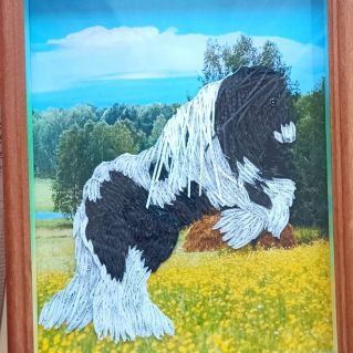 "Игривый конь"