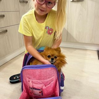 Игра в прятки