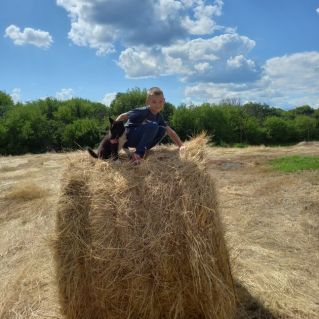 "Мой друг - Рей"