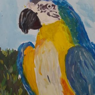 "Попугай Солнышко"