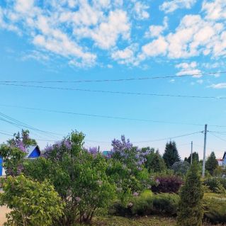 Весеннее утро