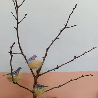 Чудеса весны.