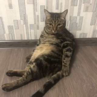 Майский отдых