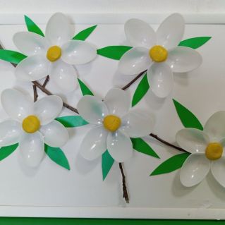 "Цветочный мир"