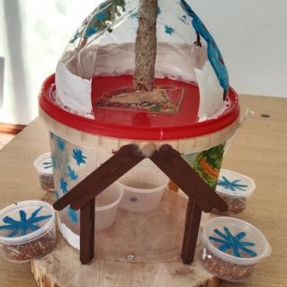 Кафе для птичек