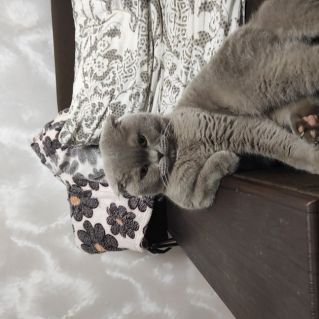 "Ты заходи если что..."