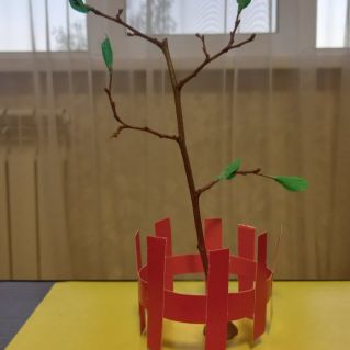 Первые листочки