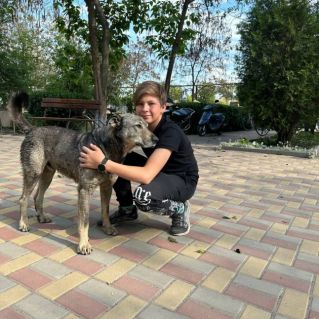 "Мой верный друг"