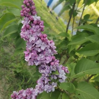 Природная красота