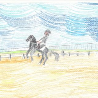 Конный спорт