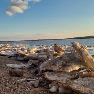 Берег реки Амур