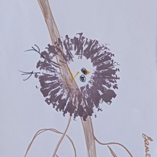 Рисование "Воробей"