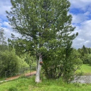 Природа наше достоянье!