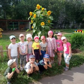 Мамины подсолнышки