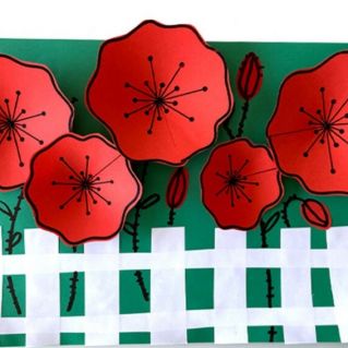 Маки красные