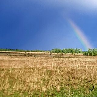 Великолепие природы