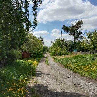 Дорога к лету