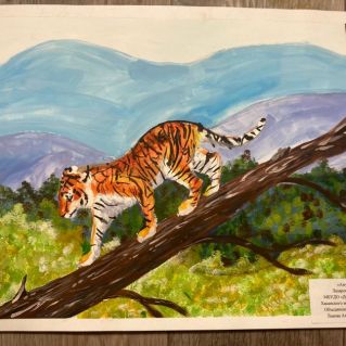 Амурский тигр