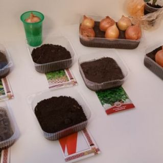 "Эксперимент с растением"