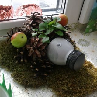 "Ёжик - ни головы, ни ножек"