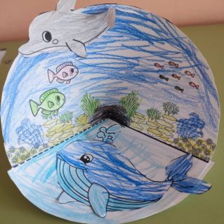 кит и дельфин