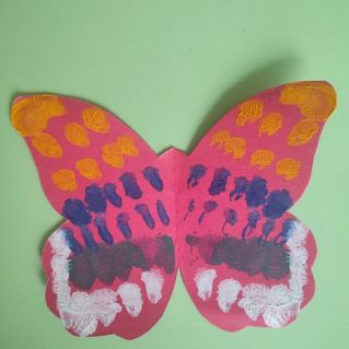 бабочка-красавица