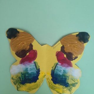 бабочка-красавица