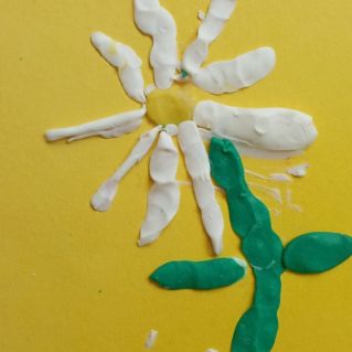 Семейная ромашка