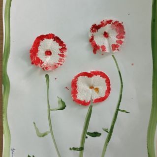 Нежные гвоздики