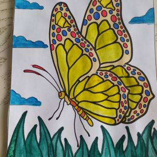 Бабочка- красавица