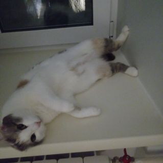 "Мой настоящий друг"