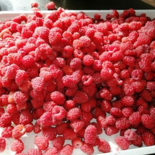 "Сладкая малина"