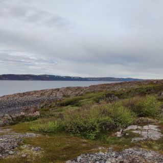 Крайний север. Териберка.