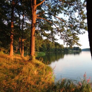 Осенние деньки