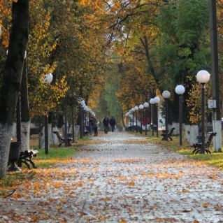 Яркая осень