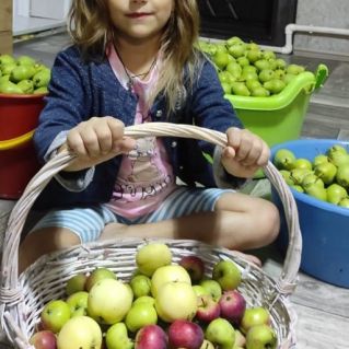 Маленькая принцесса в яблочном великолепии