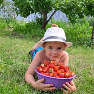 Моё клубничное сокровище