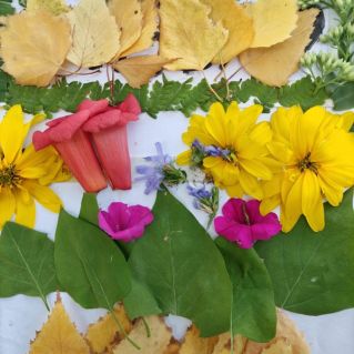 "Подарки природы"