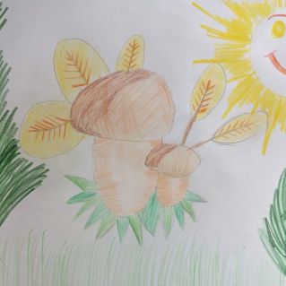 Грибная пора