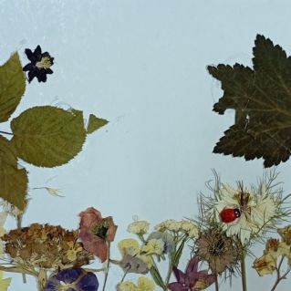 Осеннее настроение