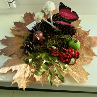 Осенний лес