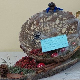 "Сокровище пауков"